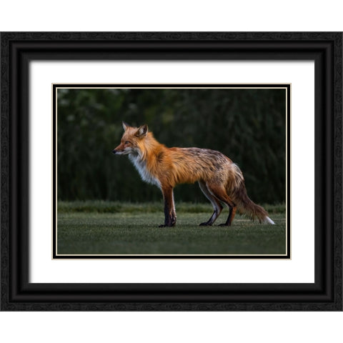 You Caught My Eyes Black Ornate Wood Framed Art Print with Double Matting by Tseng, Judy