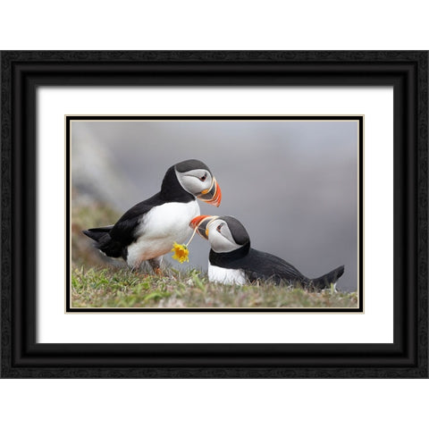 Propose Black Ornate Wood Framed Art Print with Double Matting by Fu, Molly