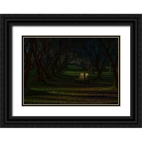 Empty Chair Black Ornate Wood Framed Art Print with Double Matting by Tseng, Judy