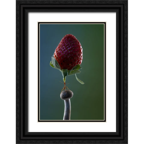 Mighty Ant Lift-Up A Strawberry Black Ornate Wood Framed Art Print with Double Matting by Suhardjo, Lisdiyanto