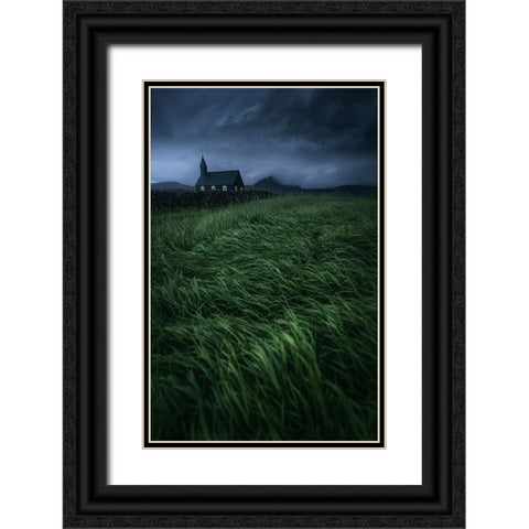 Lonely in the storm Black Ornate Wood Framed Art Print with Double Matting by Daut, Remo