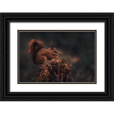 Dark Forest Black Ornate Wood Framed Art Print with Double Matting by J Ter, Gert