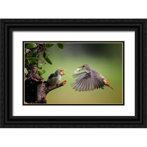 I Am Coming Black Ornate Wood Framed Art Print with Double Matting by Muliani Hartojo, Angela
