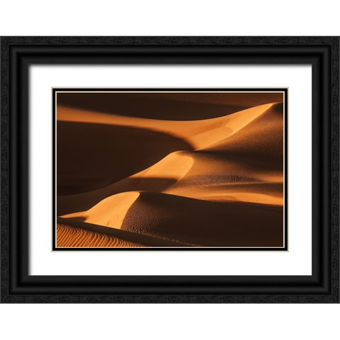 The Sand Dune Ladder Black Ornate Wood Framed Art Print with Double Matting by Qiu, Jenny