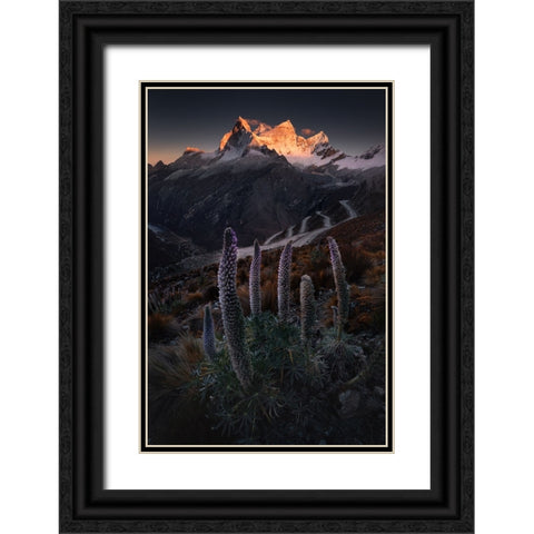 Lupin Towers Black Ornate Wood Framed Art Print with Double Matting by Nienartowicz, Karol