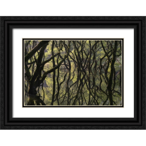 Sunken Forest Black Ornate Wood Framed Art Print with Double Matting by Irie, Ryohei