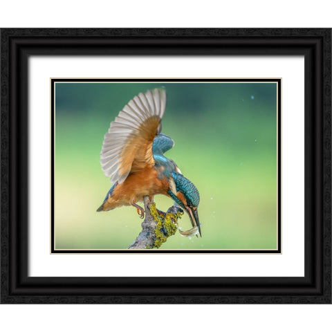 Untitled Black Ornate Wood Framed Art Print with Double Matting by S., Damian