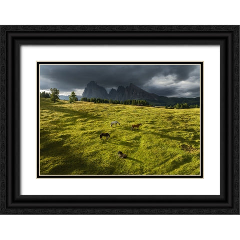 Horses in the Dolomites Black Ornate Wood Framed Art Print with Double Matting by Krivec, Ales