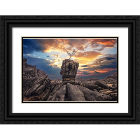 Pine Tree On The Rock Black Ornate Wood Framed Art Print with Double Matting by Seo, Tiger
