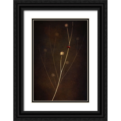 Summer Black Ornate Wood Framed Art Print with Double Matting by Kiral, Cicek