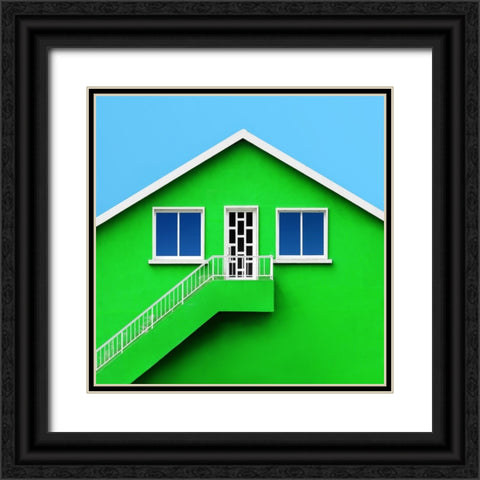 Green House Black Ornate Wood Framed Art Print with Double Matting by Novillo, Alfonso