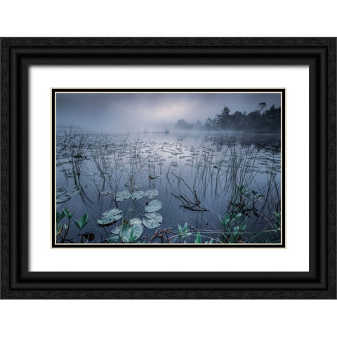 Dawn Light Black Ornate Wood Framed Art Print with Double Matting by Pettersson, Benny