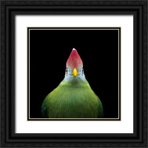 Untitled Black Ornate Wood Framed Art Print with Double Matting by Pandya, Hardik