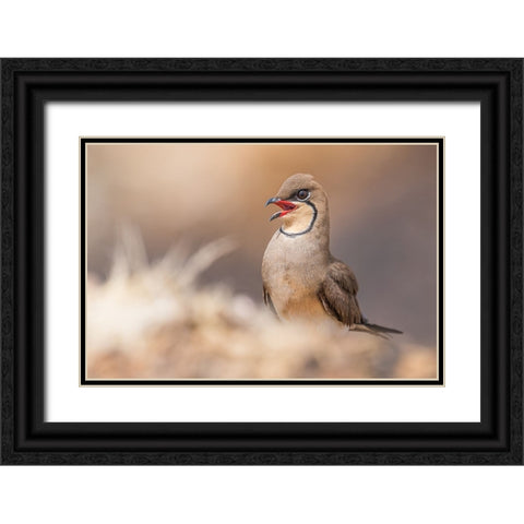 Red Lips.! Black Ornate Wood Framed Art Print with Double Matting by Elkahlawi, Ahmed