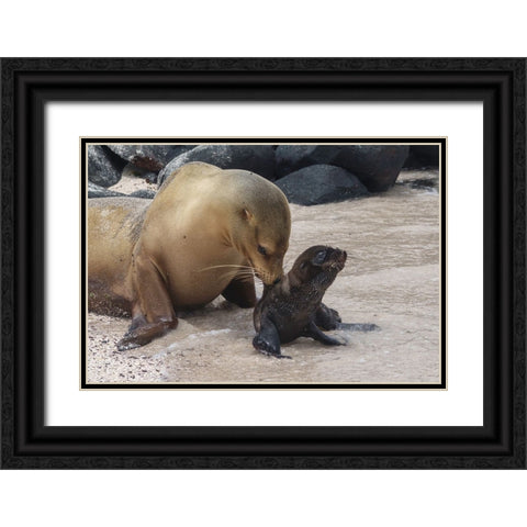 Mother Worries Black Ornate Wood Framed Art Print with Double Matting by Gross, Benny