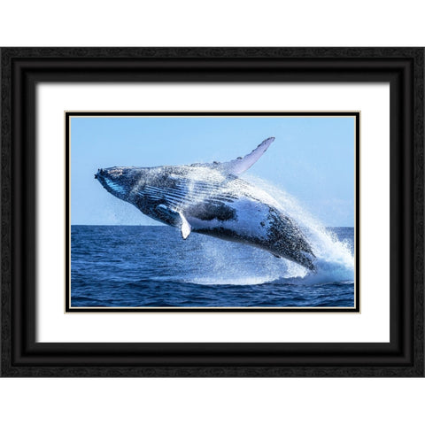 The Escort Black Ornate Wood Framed Art Print with Double Matting by Melesan, Serge