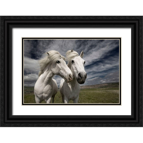 Inseparables Black Ornate Wood Framed Art Print with Double Matting by Ingibergsson, Bragi