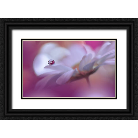 Celebration Of Life..III Black Ornate Wood Framed Art Print with Double Matting by Nan, Juliana