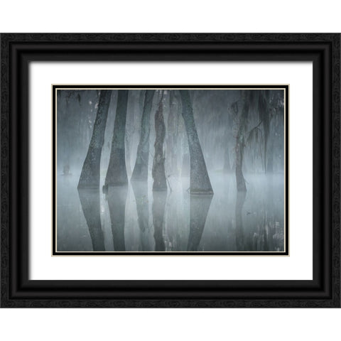 Lake Martin Black Ornate Wood Framed Art Print with Double Matting by Wei, Willa