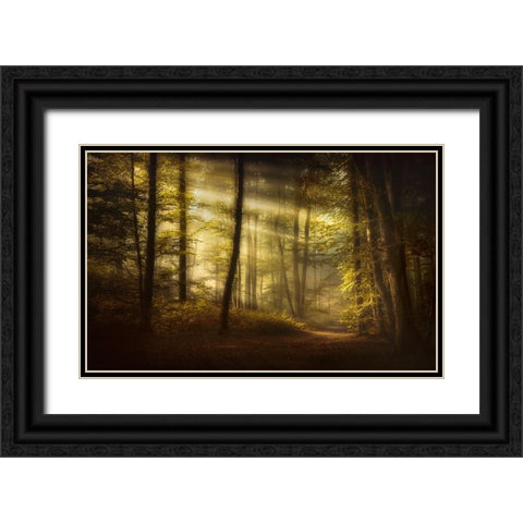Autumnal Morning Black Ornate Wood Framed Art Print with Double Matting by Maier, Norbert