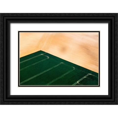 Green Field Black Ornate Wood Framed Art Print with Double Matting by Prioteasa, Sebastian