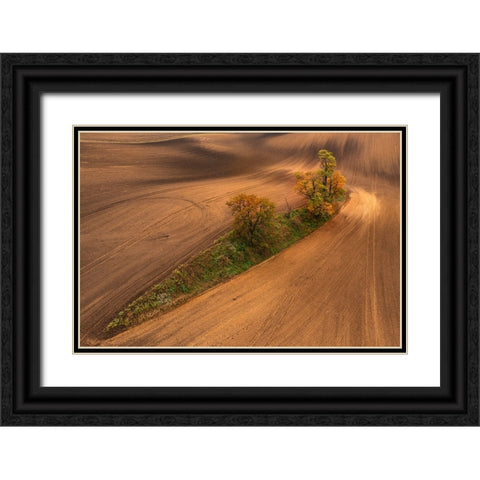 South Moravia Black Ornate Wood Framed Art Print with Double Matting by Kravanja, Jure