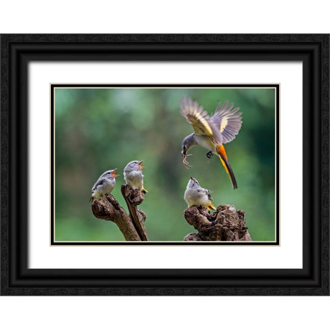 I Am Coming 2 Black Ornate Wood Framed Art Print with Double Matting by Muliani Hartojo, Angela