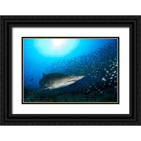 Big Head Black Ornate Wood Framed Art Print with Double Matting by Y Lin, Ryan