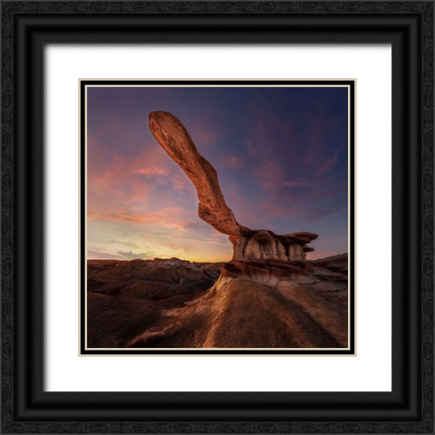 King Of Wings Black Ornate Wood Framed Art Print with Double Matting by Ji, Shirley