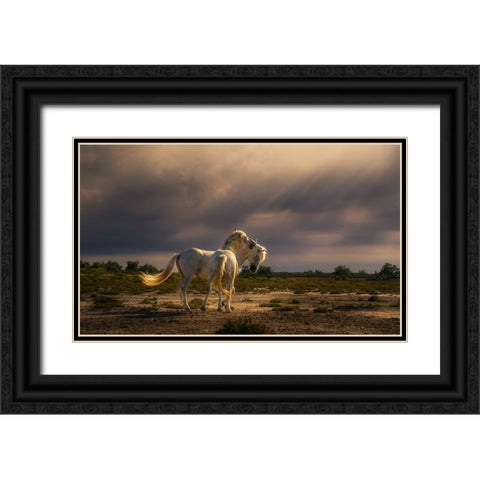 After The Storm...Light! A732210 Black Ornate Wood Framed Art Print with Double Matting by Joanaduenas