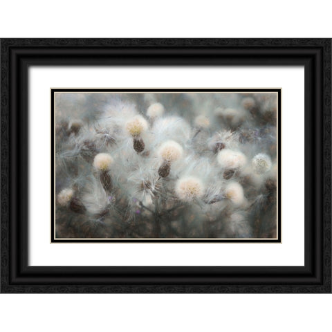 Free Fall Black Ornate Wood Framed Art Print with Double Matting by Claes, Gilbert