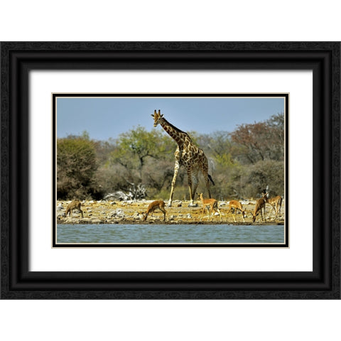Different Sizes Black Ornate Wood Framed Art Print with Double Matting by Damico, Giuseppe