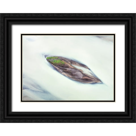 Lupine Islet Black Ornate Wood Framed Art Print with Double Matting by Dou, Shenshen
