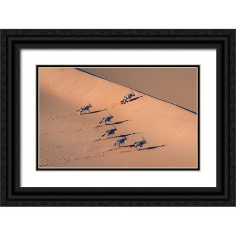 Oryx In The Desert Black Ornate Wood Framed Art Print with Double Matting by Li, Min