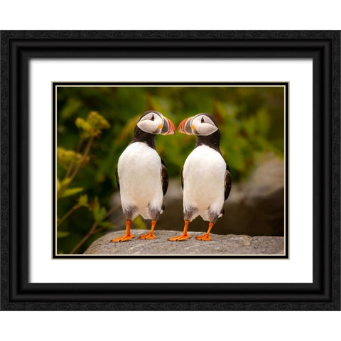 Hello Black Ornate Wood Framed Art Print with Double Matting by Dan, Kai