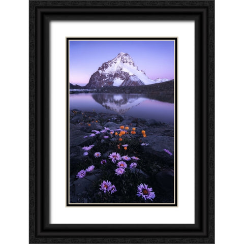 GodS Backyard Black Ornate Wood Framed Art Print with Double Matting by Hao, Damon
