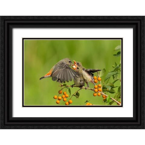 MotherS Love Black Ornate Wood Framed Art Print with Double Matting by Muliani Hartojo, Angela