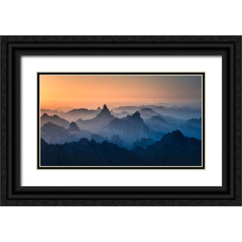 Suspended Animation Black Ornate Wood Framed Art Print with Double Matting by Wei, Willa
