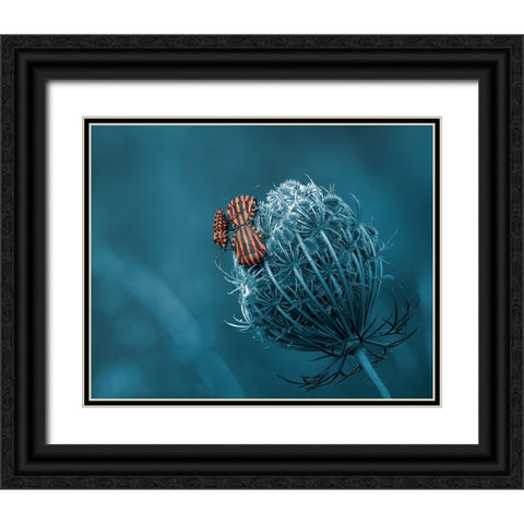 Macnage An Trois Black Ornate Wood Framed Art Print with Double Matting by Stefanel, Nicolae