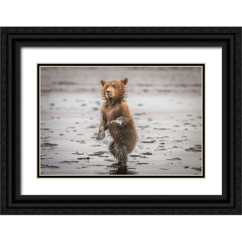 Qbustedq Black Ornate Wood Framed Art Print with Double Matting by C. Sink, Jeffrey