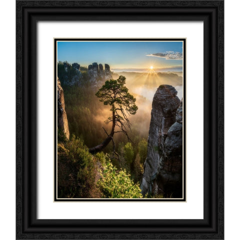 The Third Most Famous Pine Of Saxony Switzerland Black Ornate Wood Framed Art Print with Double Matting by Holic, Filip