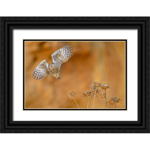 Careful Black Ornate Wood Framed Art Print with Double Matting by Rudaeff, Pablo