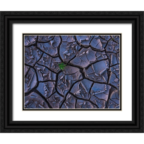 Cracking Beauty Black Ornate Wood Framed Art Print with Double Matting by P., Ruiqing