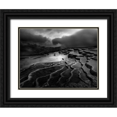 Lord Of Nature Black Ornate Wood Framed Art Print with Double Matting by Arabzadeh, Abbas