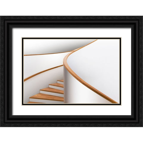 Mind Shapes Black Ornate Wood Framed Art Print with Double Matting by Liu, Shuchuan