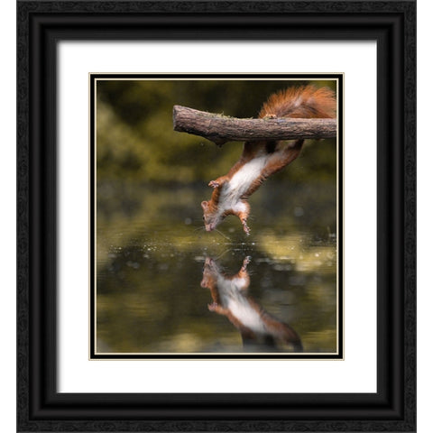 Mirrorless Black Ornate Wood Framed Art Print with Double Matting by Colemont, Niki