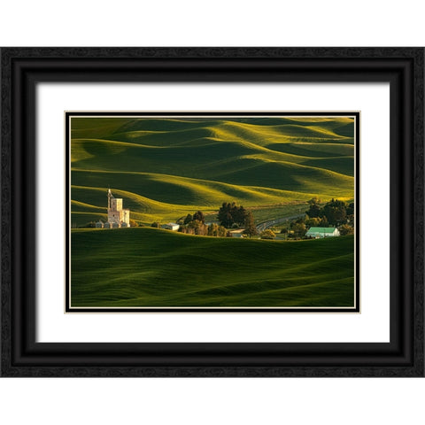 Palouse Wheat Fields Black Ornate Wood Framed Art Print with Double Matting by Dickau, Kristel