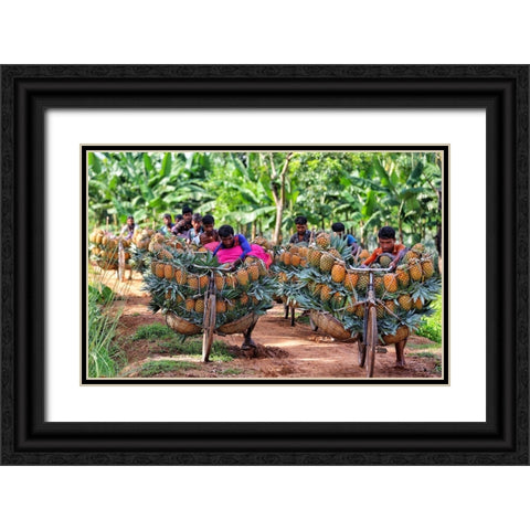 Ripe Pineapple Black Ornate Wood Framed Art Print with Double Matting by Rahman Nasim, Mostafijur