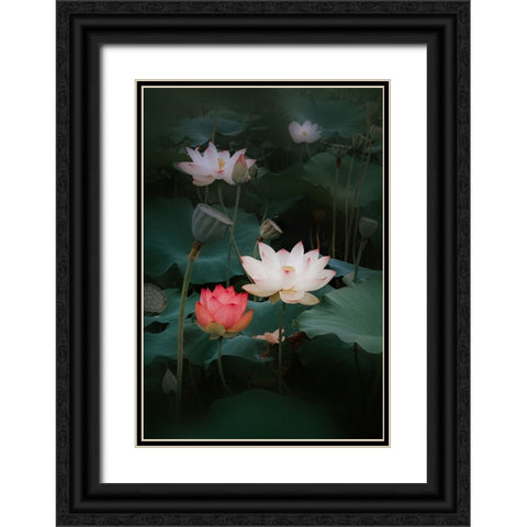 Lotus Black Ornate Wood Framed Art Print with Double Matting by Kim, Youngil