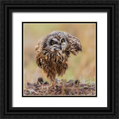 N/A Black Ornate Wood Framed Art Print with Double Matting by Taksing